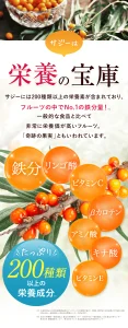 豊潤サジー妊娠中でも大丈夫？つわりが軽くなる口コミ調査/おすすめ理由も解説